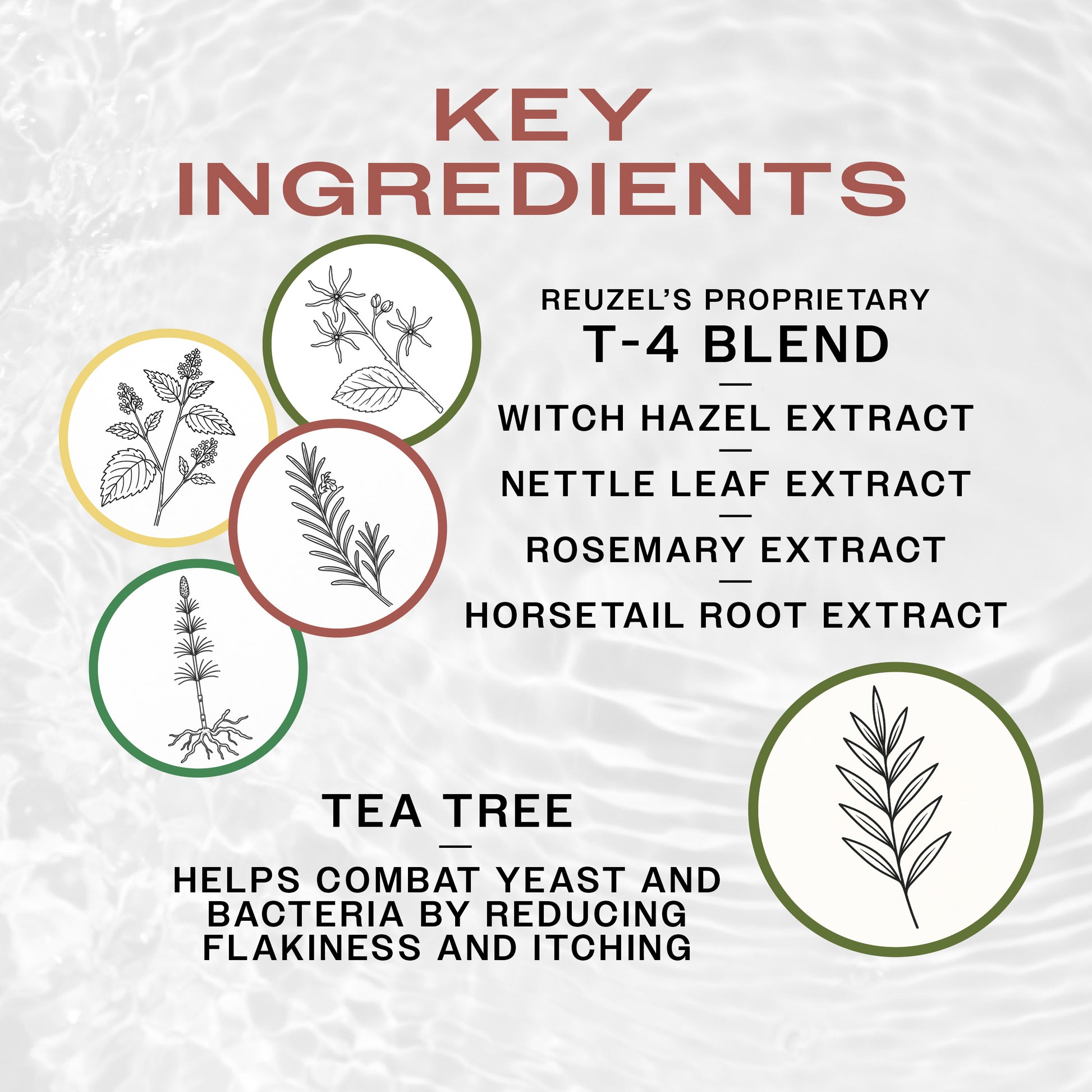 Key Ingredients of REUZEL 3 IN 1 SHAMPOO.  REUZEL'S T4 blend of witch hazel, nettle leaf, rosemary and horsetail extract for hair health and tea tree reduces itching.