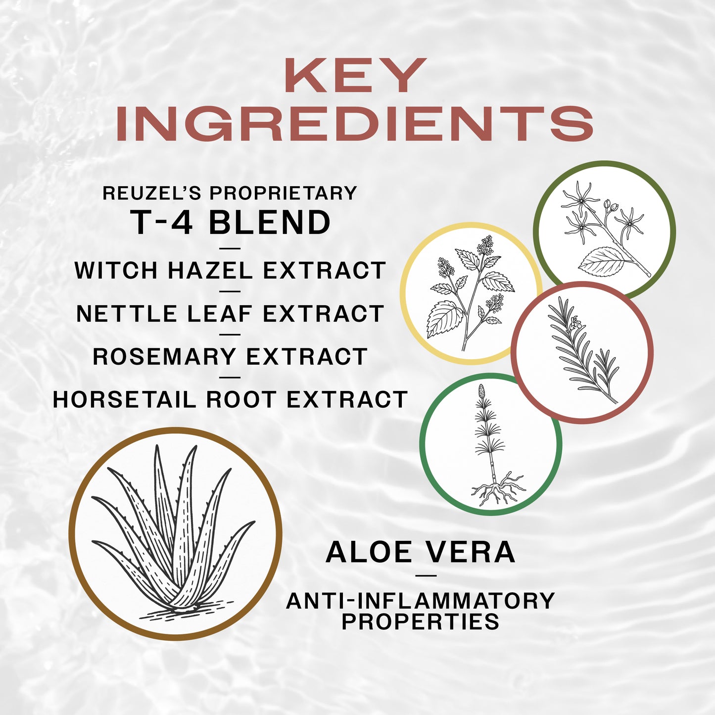 Key Ingredients in REUZEL Astringent Foam.  REUZEL'S T4 blend of witch hazel, nettle leaf, rosemary and horsetail extract for hair health and aloe vera for inflammation. 