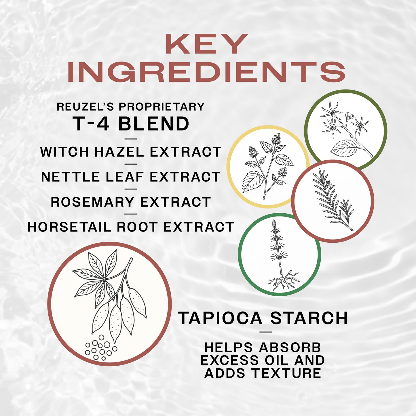 Key Ingredients of REUZEL Rosemary Mint Flashdry Dry Shampoo. REUZEL'S T4 blend of witch hazel, nettle leaf, rosemary and horsetail extract for hair health and tapioca starch absorbs oil.