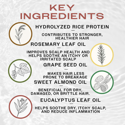 Key Ingredients of REUZEL Rosemary Mint Hydrating Styling Cream. Hydrolyzed Rice Protein contributes to healthier hair, Rosemary Leaf Oil improves scalp health. Sweet Almond oil prevents breakage, and Eucalyptus Leaf Oil reduces inflammation.