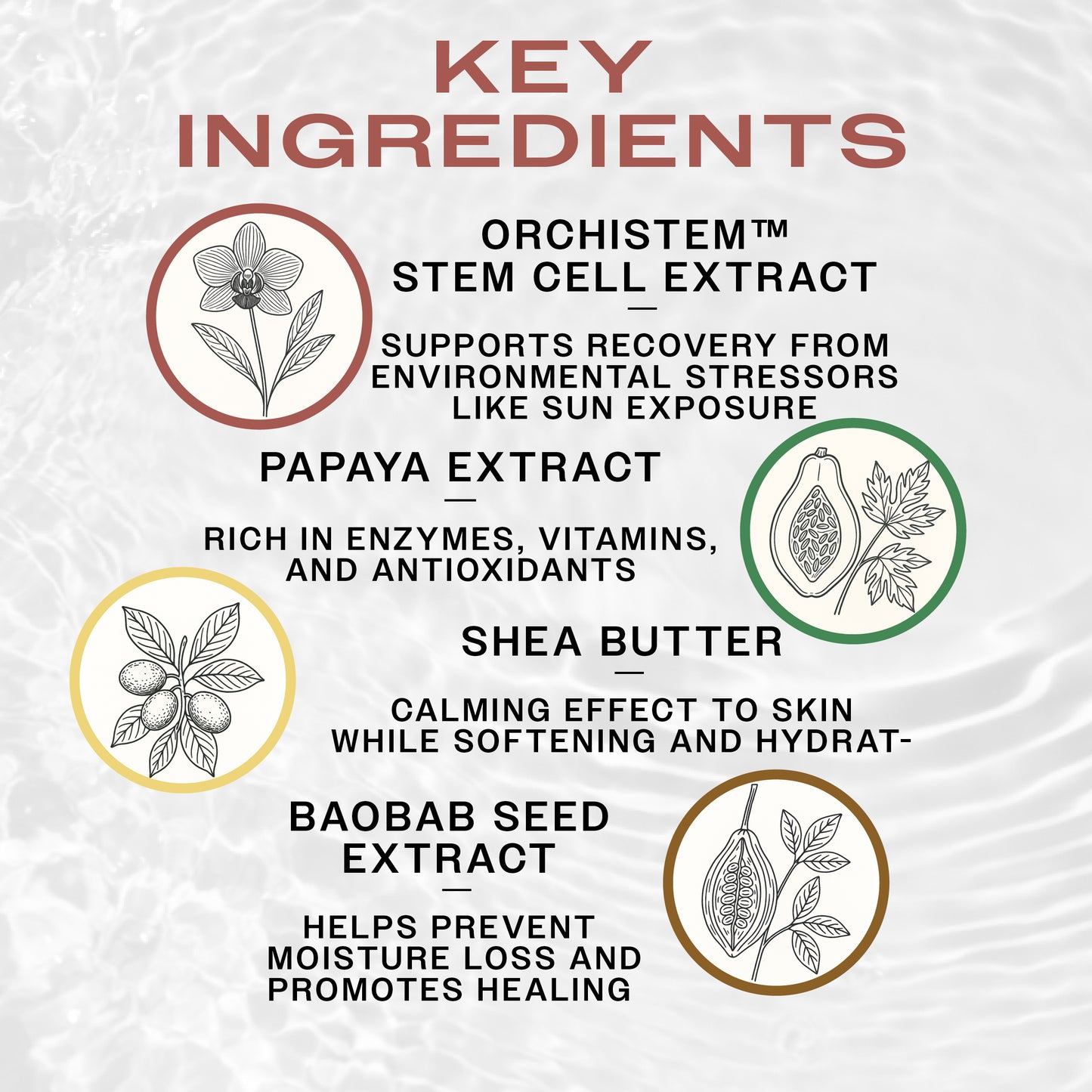Key Ingredients of HYDRABALM Tattoo Balm-Tattoo Aftercare Products-REUZEL. Orchistem Stem Cell Extract improves skin firmness, papaya has antioxidants, baobab seed extract helps prevent moisture loss, and shea butter hydrates.