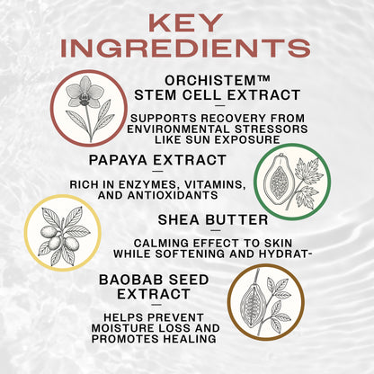 Key Ingredients of HYDRABALM Tattoo Balm-Tattoo Aftercare Products-REUZEL. Orchistem Stem Cell Extract improves skin firmness, papaya has antioxidants, baobab seed extract helps prevent moisture loss, and shea butter hydrates.