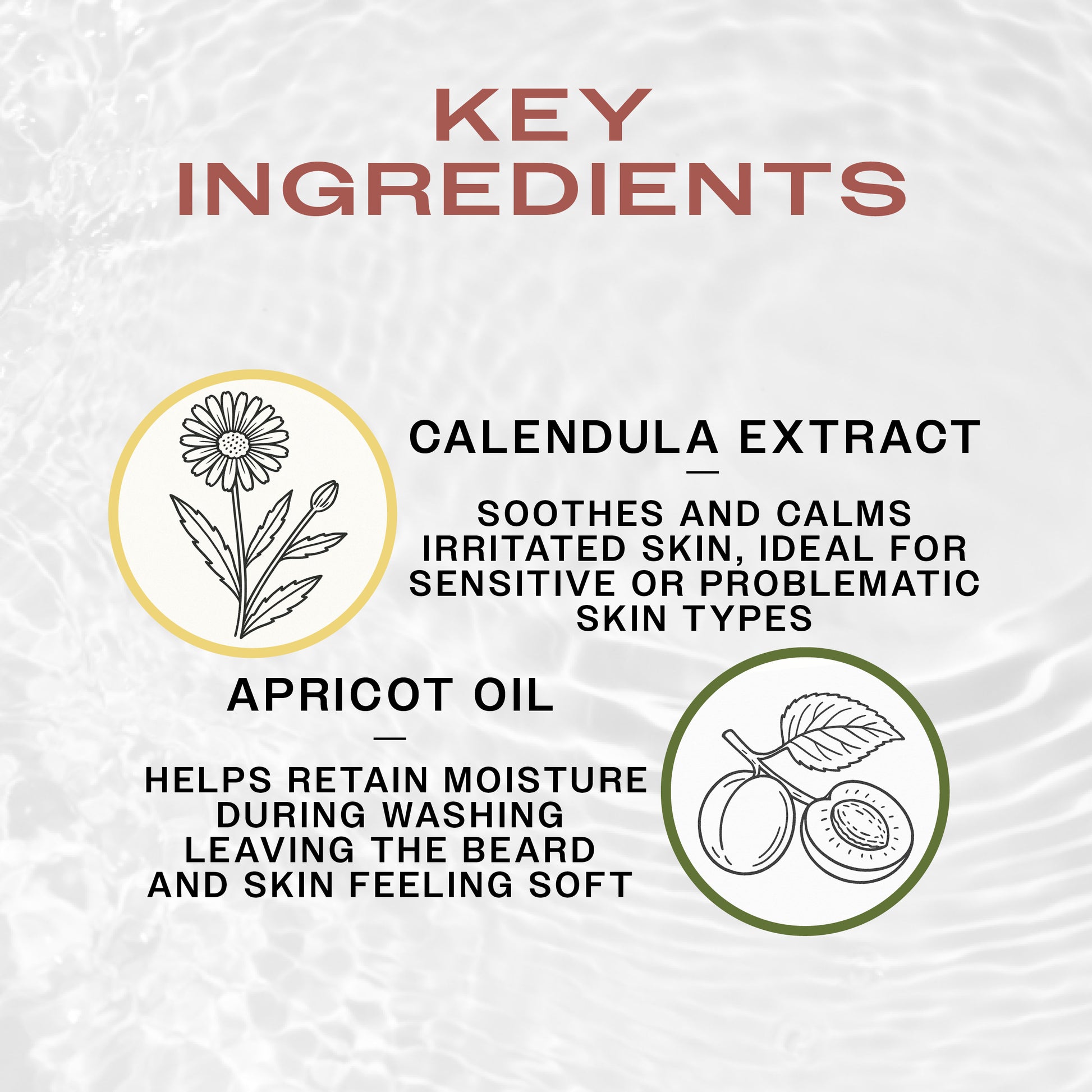 Key Ingredients of REUZEL REFRESH No rinse beard wash. Calendula extract soothes and calms irritated skin, ideal for sensitive skin and apricot oil retains moisture.