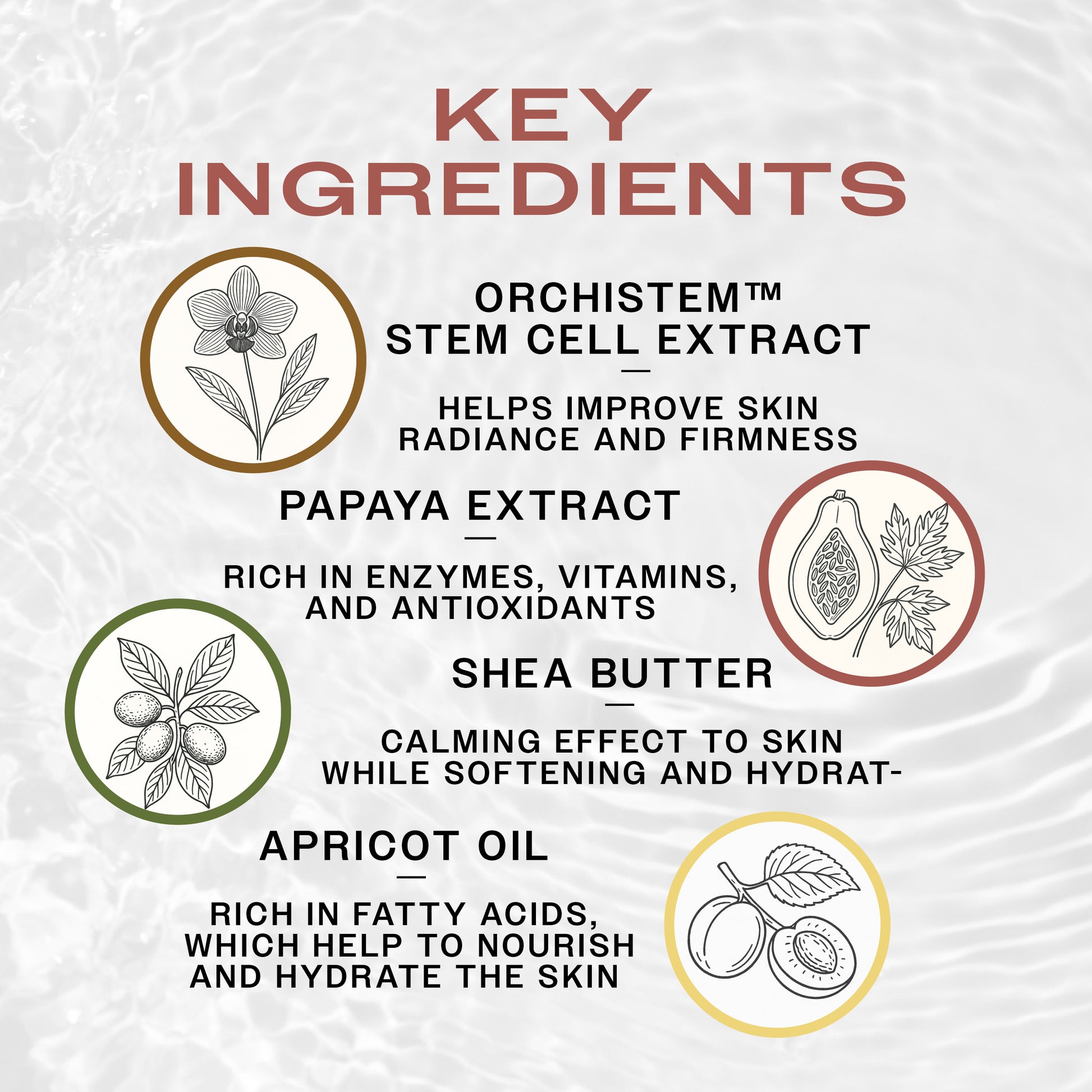 Key Ingredients of REUZEL TAT SHINE Spray Tattoo Aftercare Product. Orchistem Stem Cell Extract improves skin firmness, papaya has antioxidants, shea butter hydrates, and apricot oil nourishes the skin.