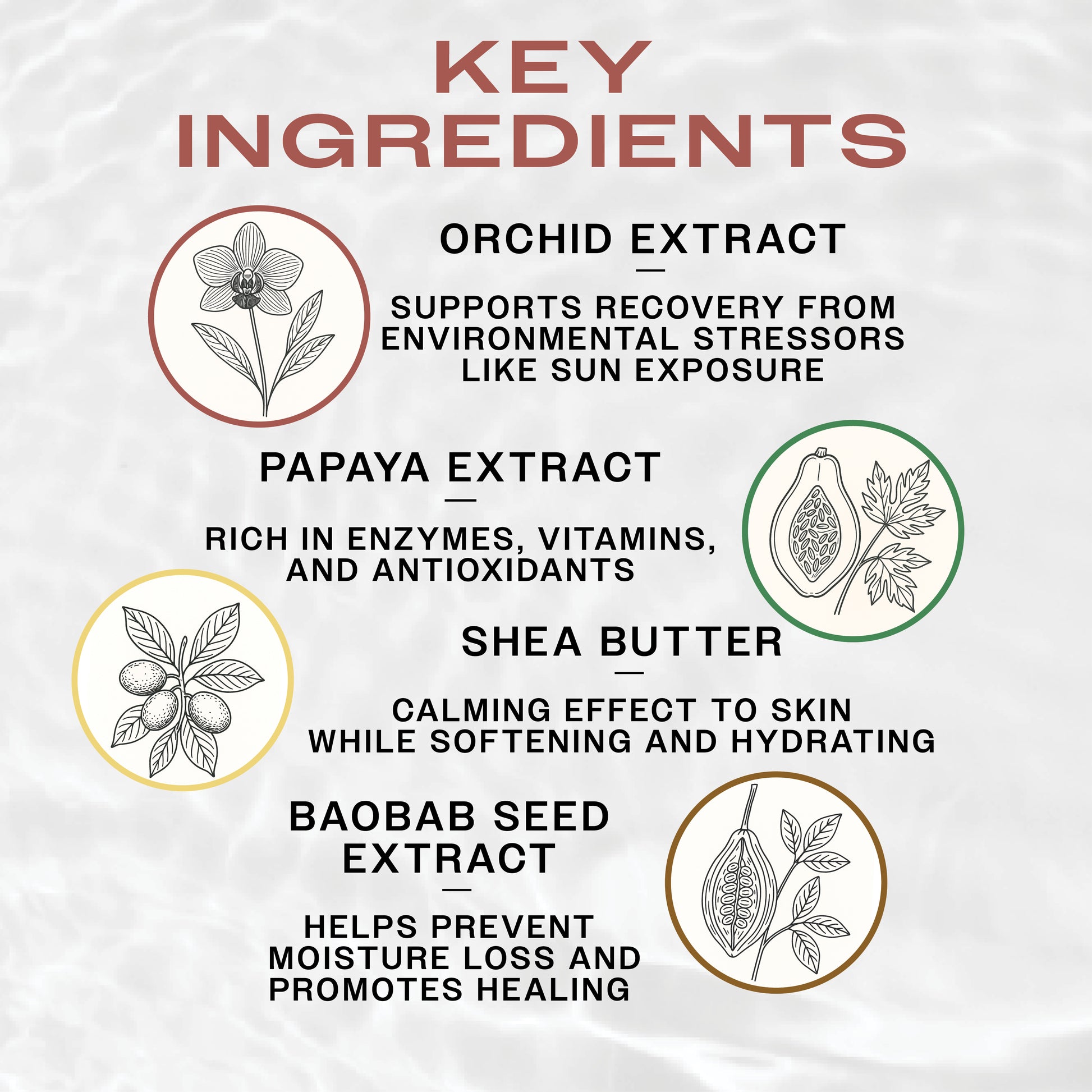 Key Ingredients
Orchid Extract supports recovery from environmental stress like sun exposure
Papaya Extract rich in enzymes, vitamins, and antioxidants
Shea Butter calming effect to skin while softening and hydrating 
Baobab seed extract helps prevent moisture loss and promotes healing