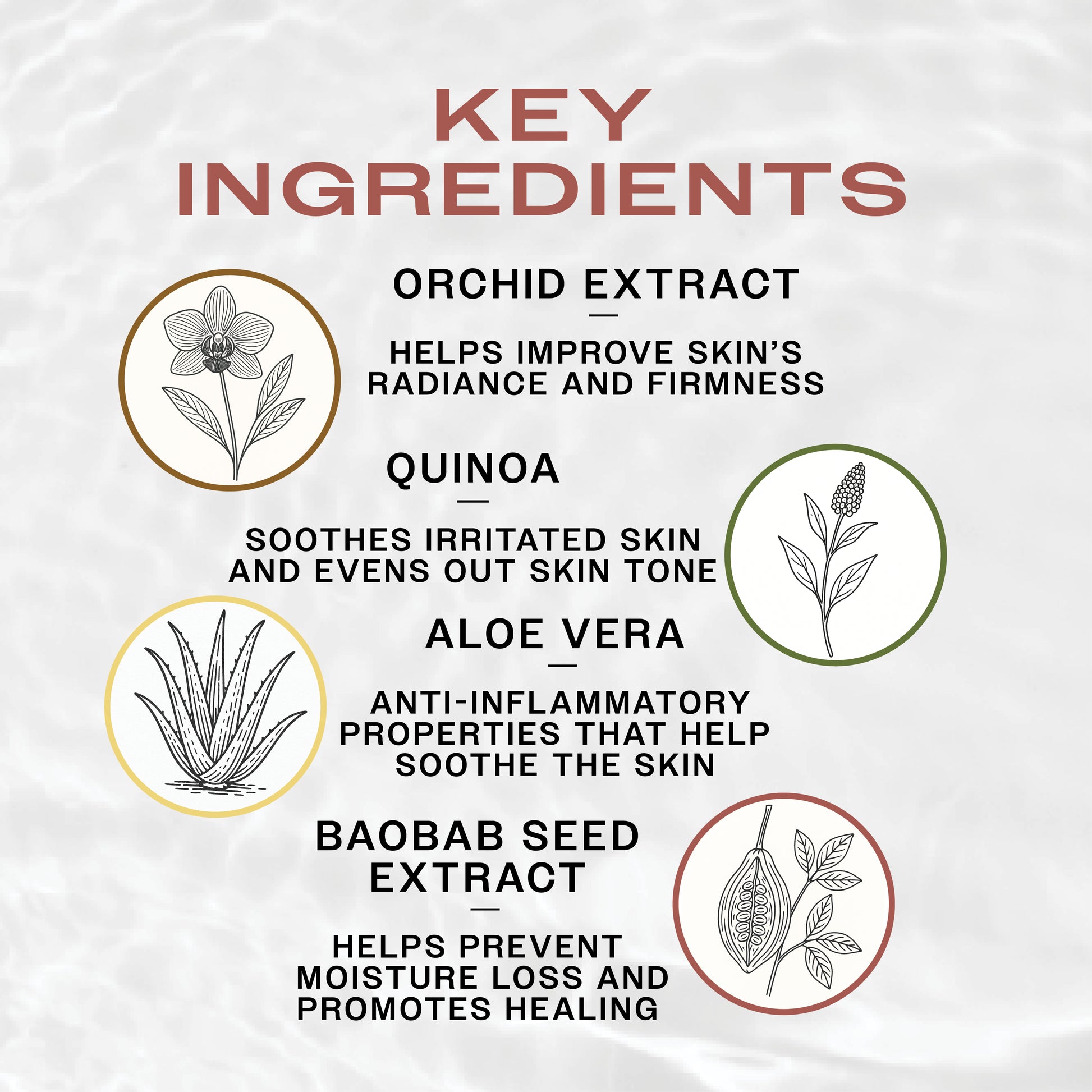 Key Ingredients
Orchid Extract helps improve skin's radiance and firmness
Quinoa soothes irritated skin and evens out skin tone
Aloe Vera anti-inflammatory properties that help soothe the skin
Baobab Seed Extract helps prevent moisture loss and promotes healing